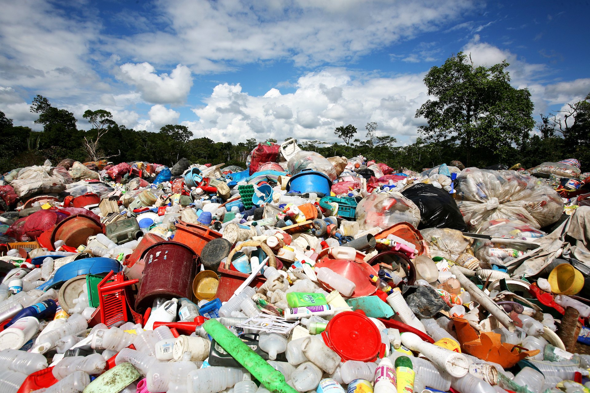 La plastica fa vittime anche nel deserto. Il caso dei dromedari di Dubai