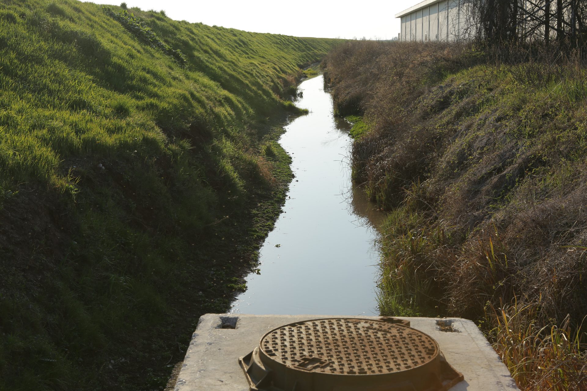 Pfas. Comincia il maxiprocesso contro chi ha avvelenato l’acqua di un terzo del Veneto