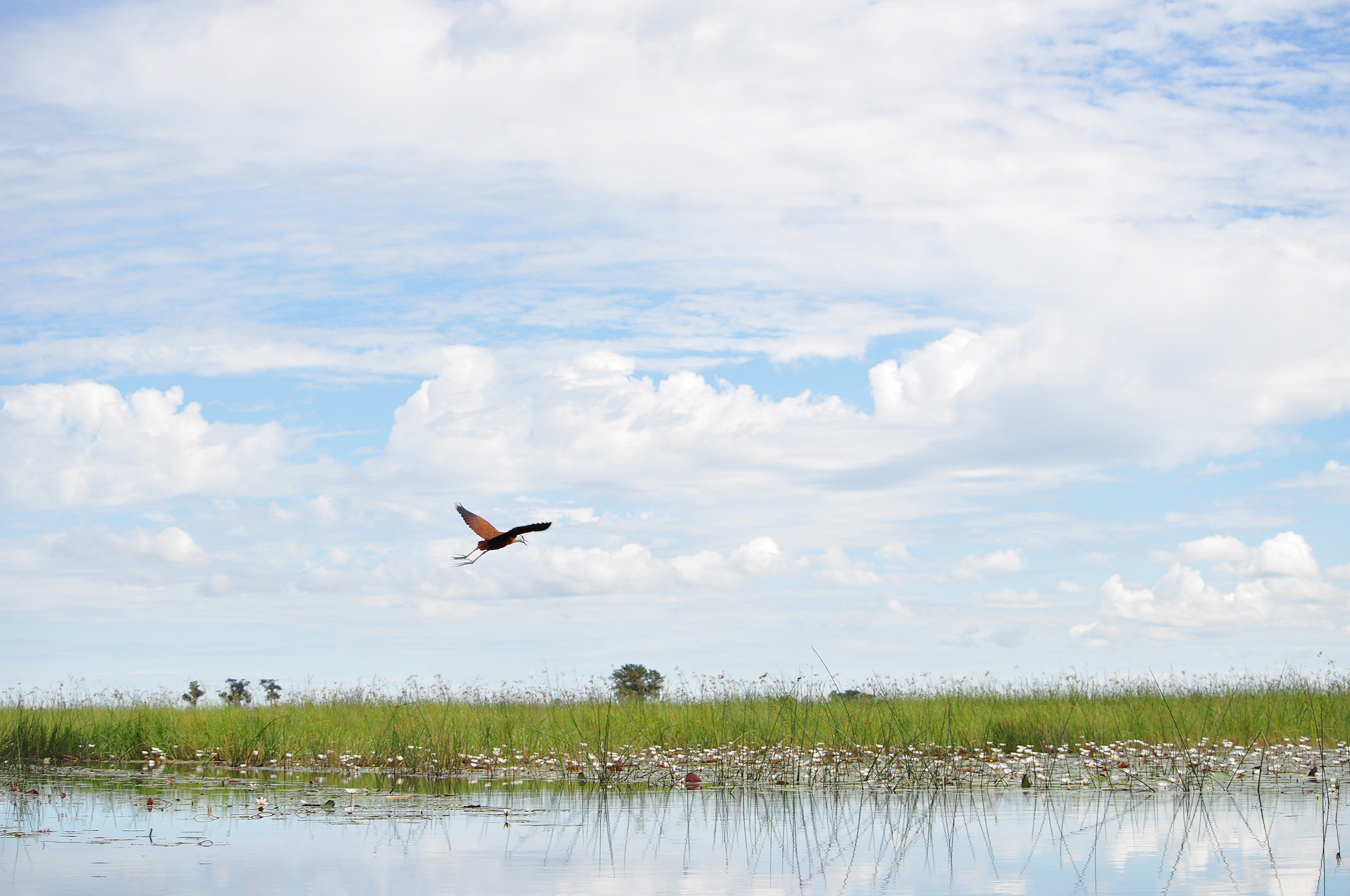 Namibia. Si trivella anche nel bacino del fiume Okavango, tenendo all’oscuro la popolazione