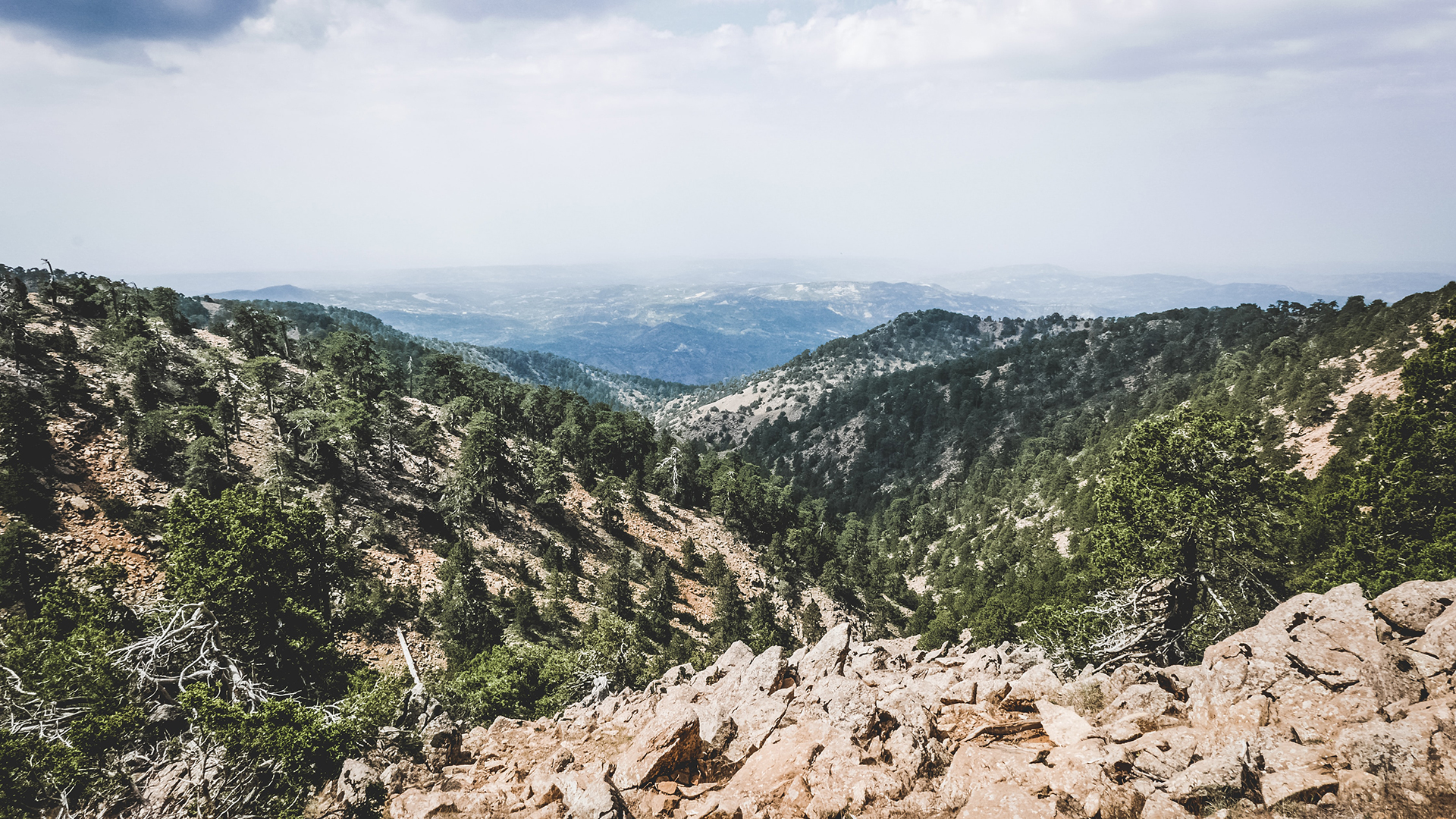 monti Troodos, Cipro