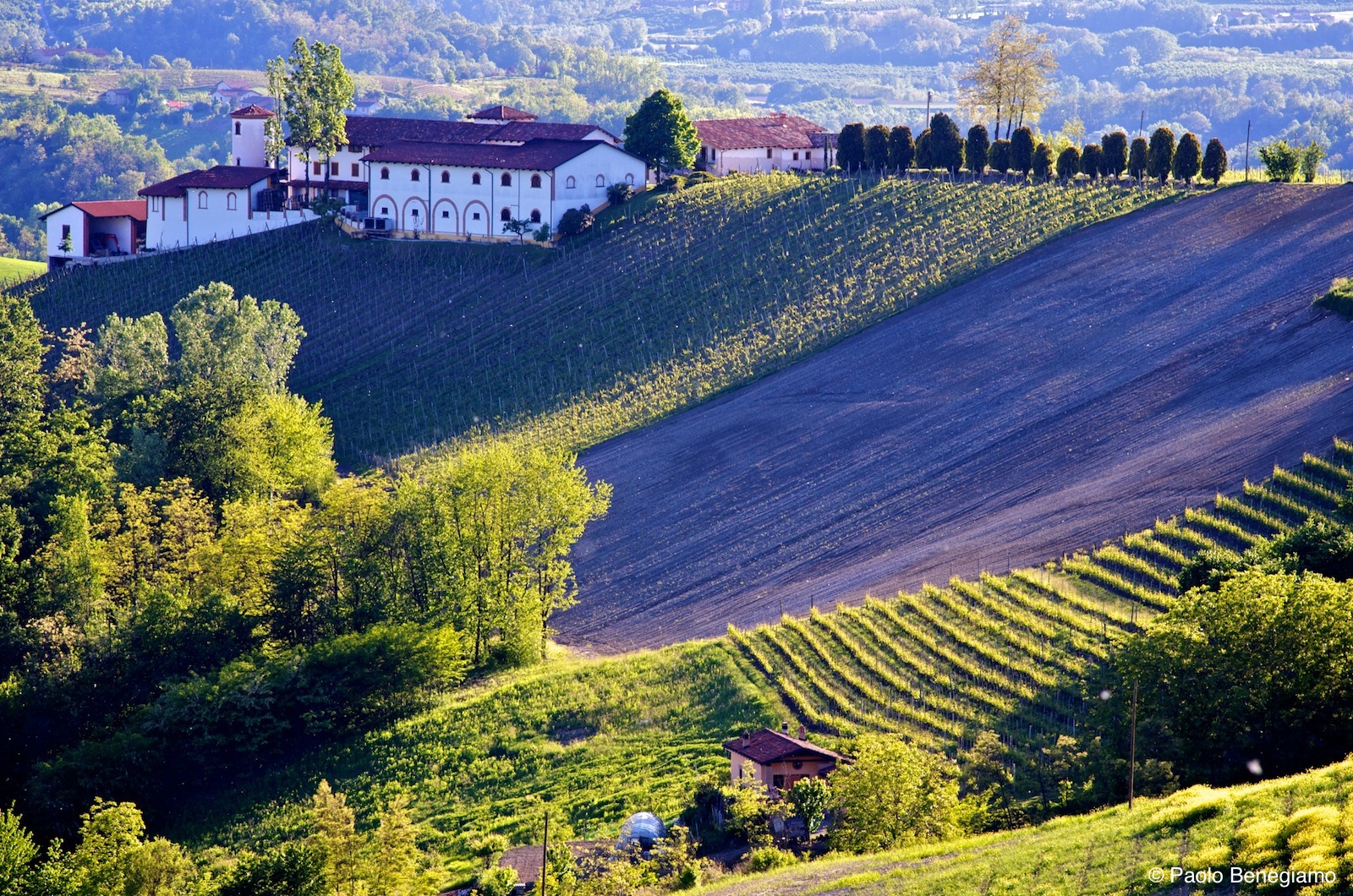 Monforte d'Alba 