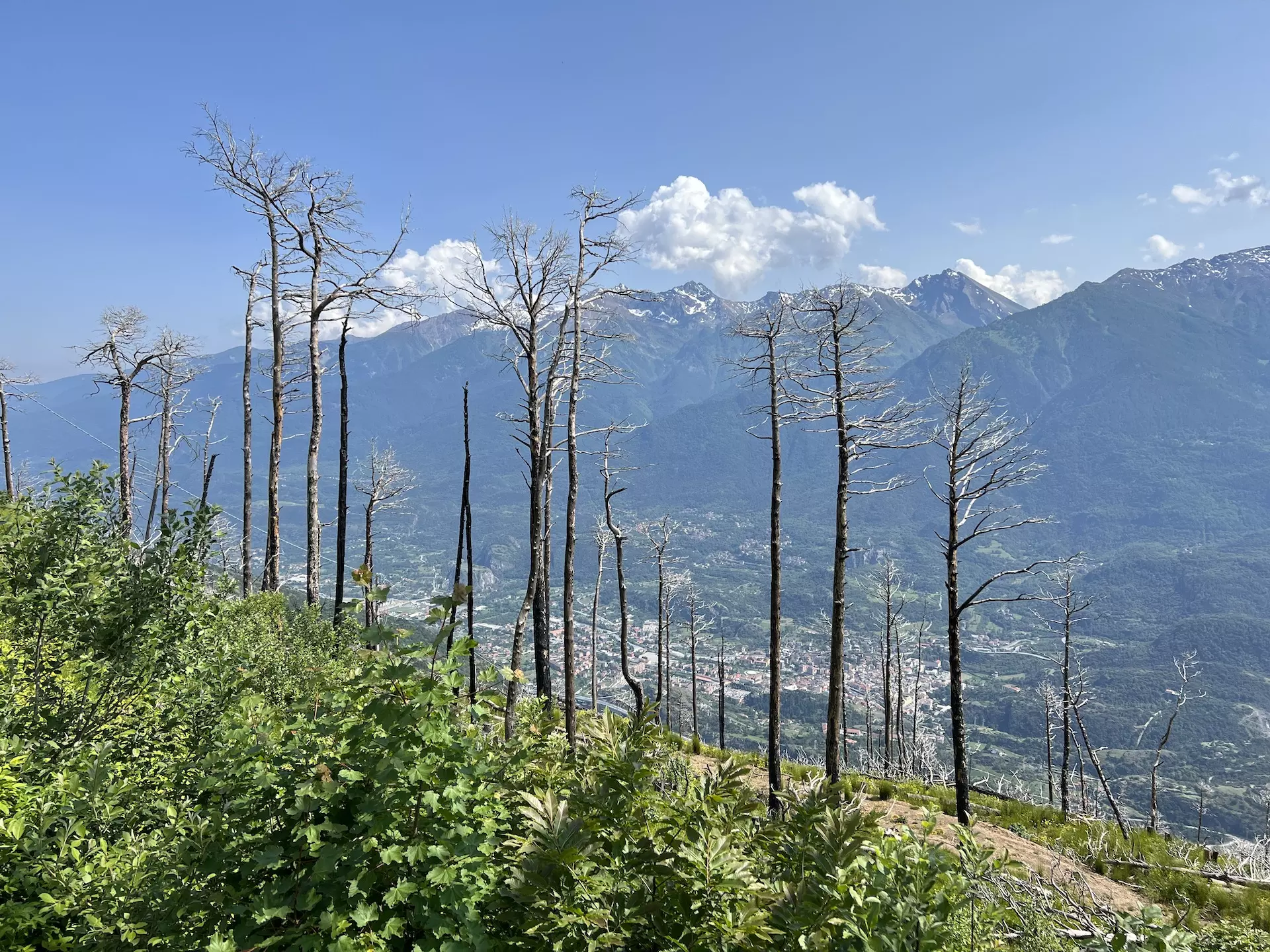 Prevenire è meglio che curare, parliamo di incendi. Il caso di Mompantero