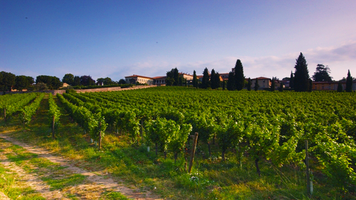 La strada del Franciacorta da percorrere in bici o a piedi