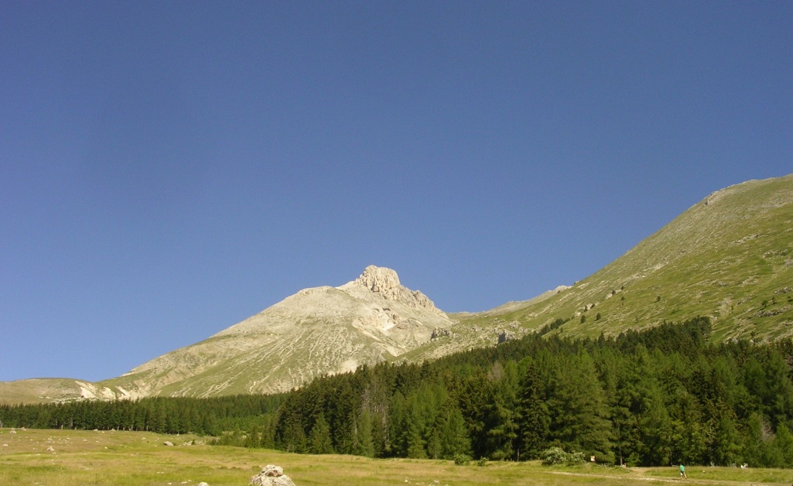 Nel Cuore Della Biodiversità D’Europa, Il Parco Nazionale Del Gran ...