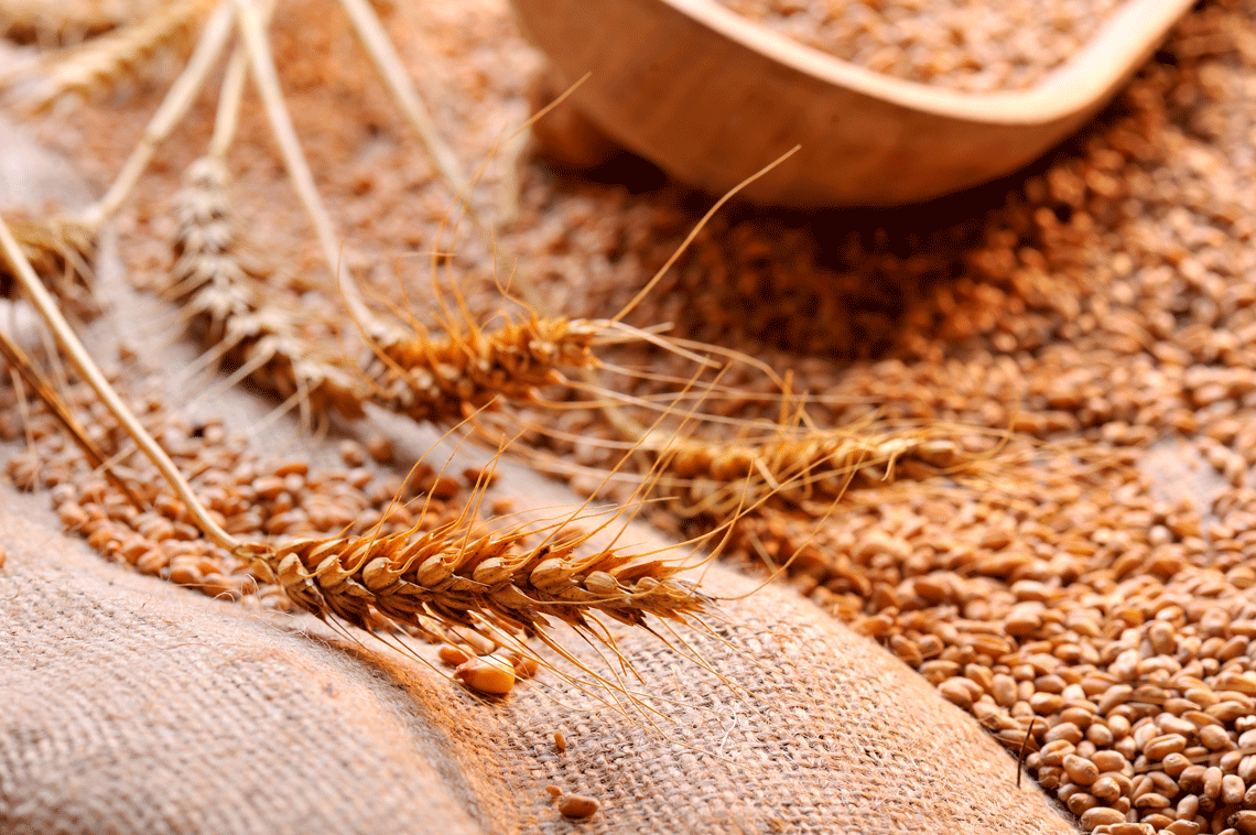 Cereali Integrali: tutti i benefici racchiusi in un chicco