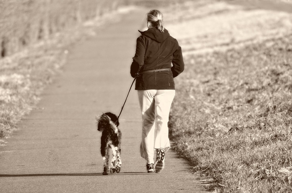 Jogging Col Cane Le Razze Piu Adatte Per Correre Con I Consigli Degli Esperti Lifegate